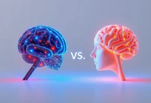 Comparison to ChatGPT vs Brain