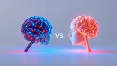 Comparison to ChatGPT vs Brain